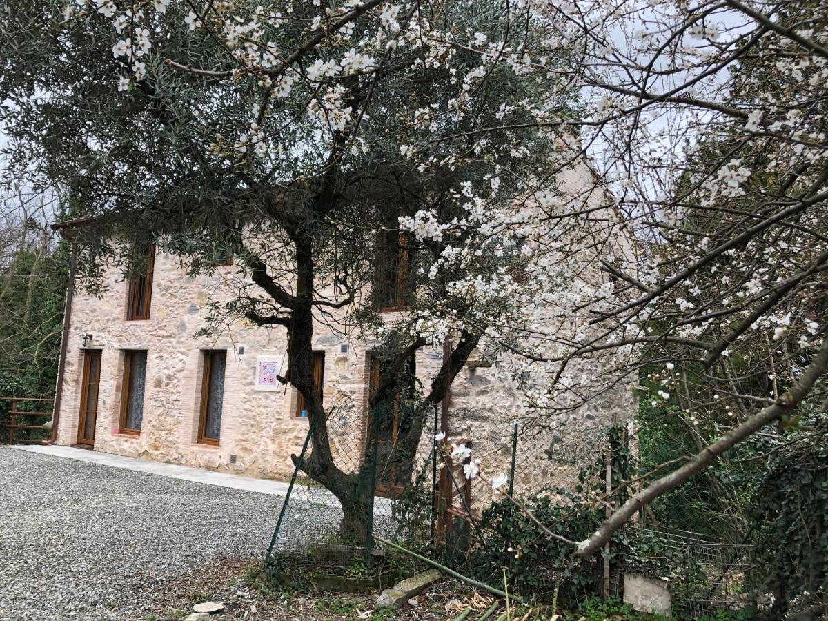 DOLCE VITA IN TUSCANY Cottage Capannori Esterno foto