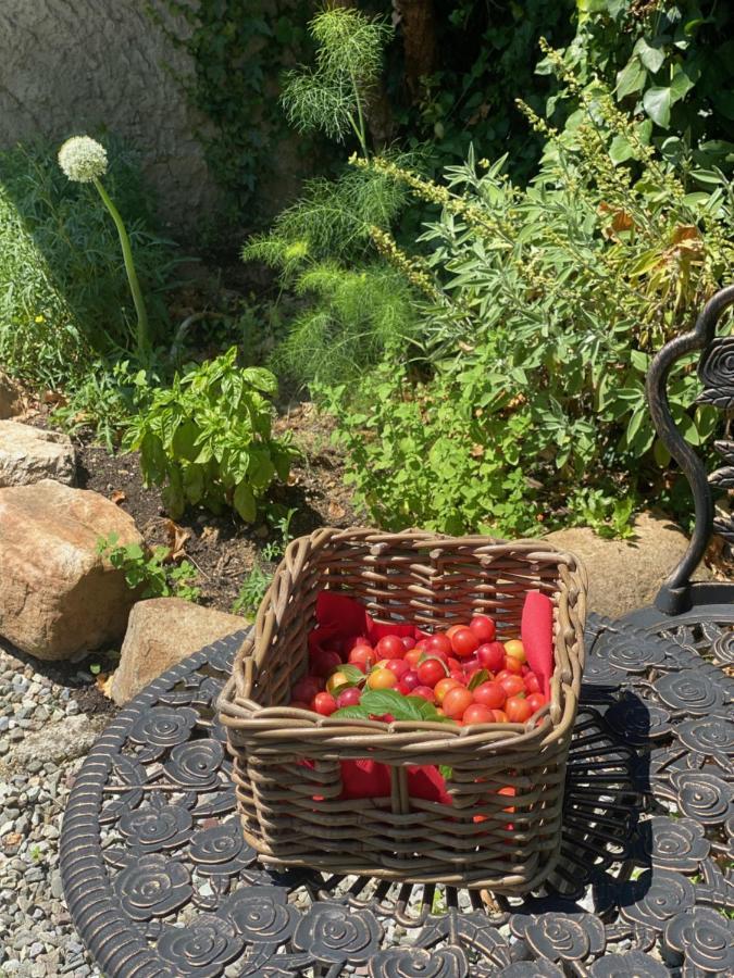 DOLCE VITA IN TUSCANY Cottage Capannori Esterno foto