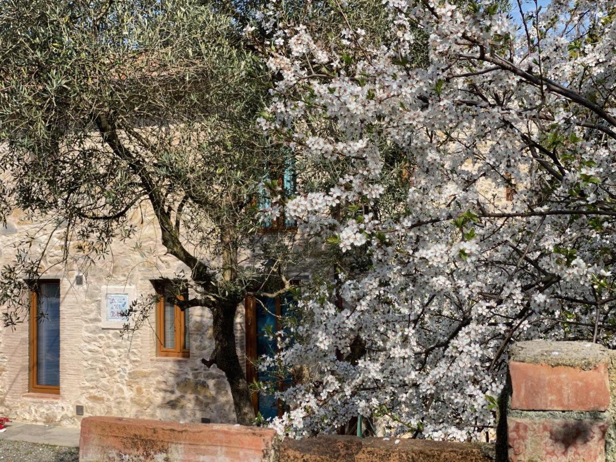 DOLCE VITA IN TUSCANY Cottage Capannori Esterno foto