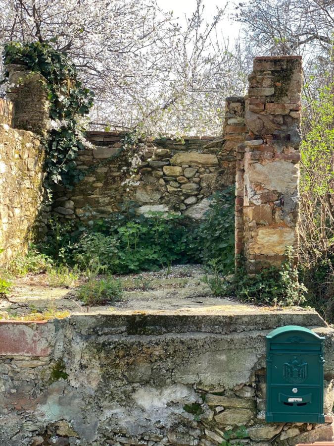 DOLCE VITA IN TUSCANY Cottage Capannori Esterno foto