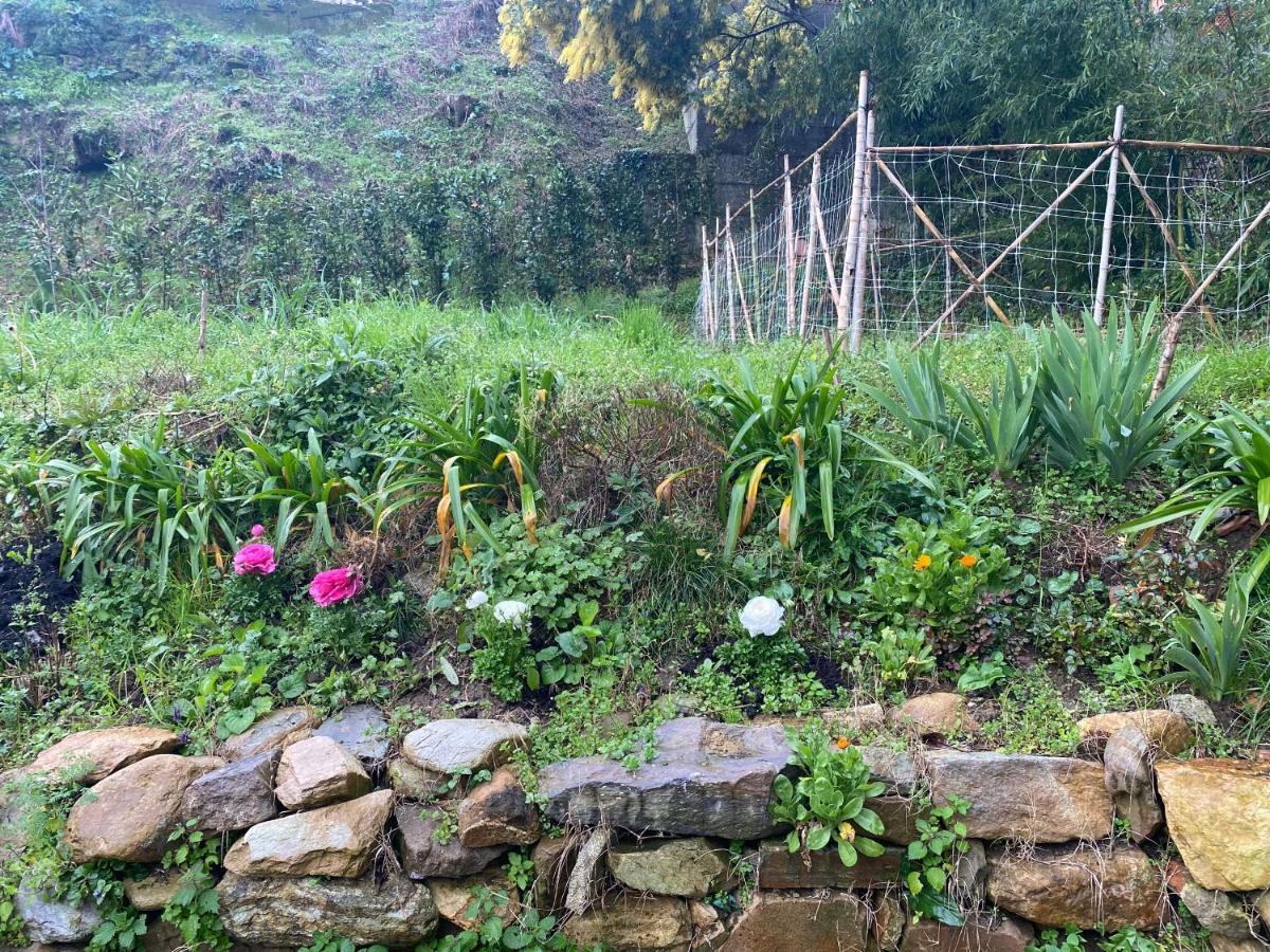 DOLCE VITA IN TUSCANY Cottage Capannori Esterno foto