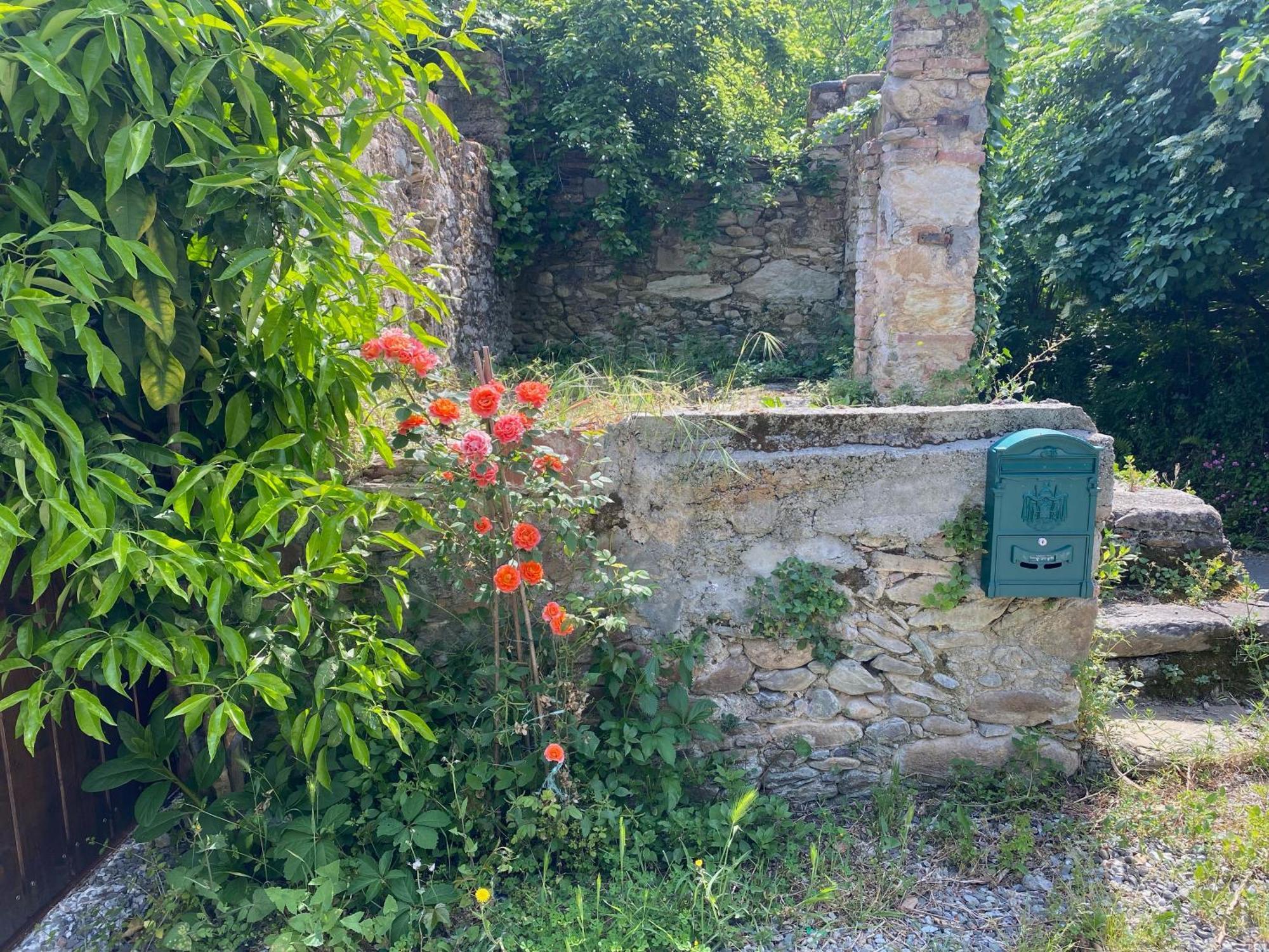 DOLCE VITA IN TUSCANY Cottage Capannori Esterno foto
